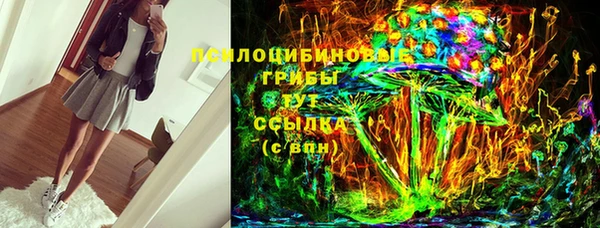 мяу мяу мука Иннополис