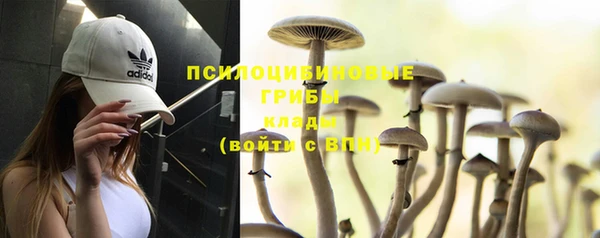 альфа пвп Инта