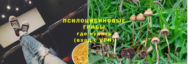 бошки Инсар