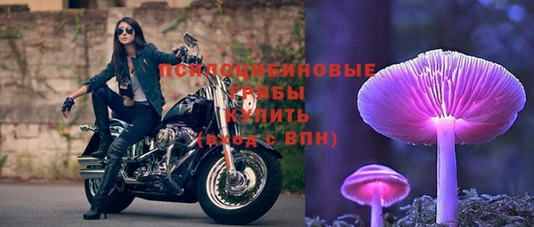 мяу мяу мука Иннополис