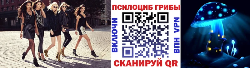 Псилоцибиновые грибы Cubensis  Купить  Богородицк 